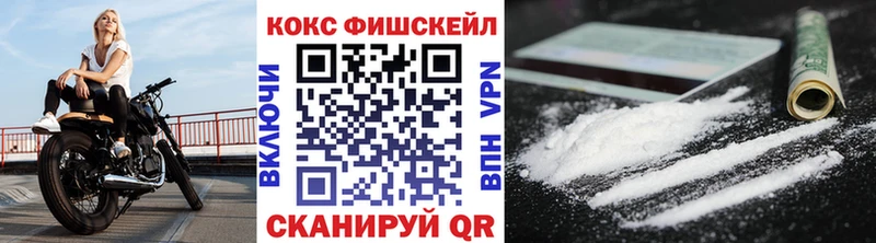 COCAIN Fish Scale  Купить где  Павловск 