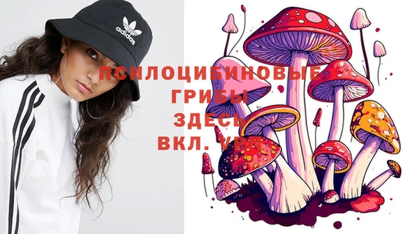 МДПВ Верхний Тагил