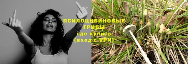 мяу мяу кристалл Богданович