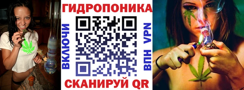 Шишки марихуана план  Купить  Павловск 